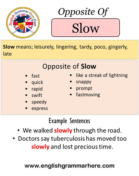 Find 153 different ways to say SLOW PACED, along with antonyms, related words, and example sentences at Thesaurus. . Antonyms for slowly
